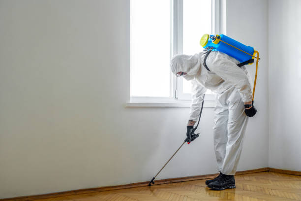 Best Pest Control for Restaurants  in Wainaku, HI