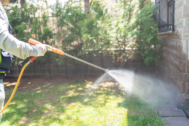 Best Spider Control Near Me  in Wainaku, HI