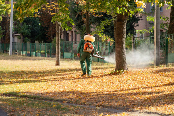 Pest Control Cost in Wainaku, HI